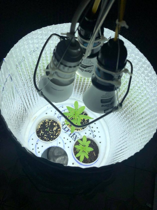 How to Make a Space Bucket for Weed with 0