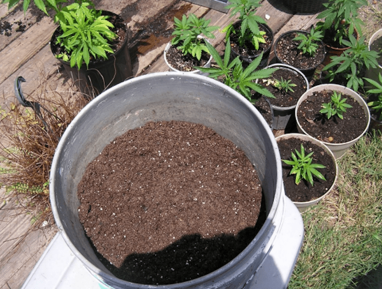 How to Grow Weed Basics Tutorial. Part 5. Growing With Soil 420 Big Bud