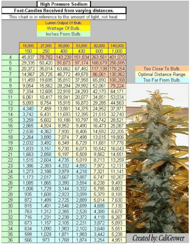 Light Chart For Growing Weed