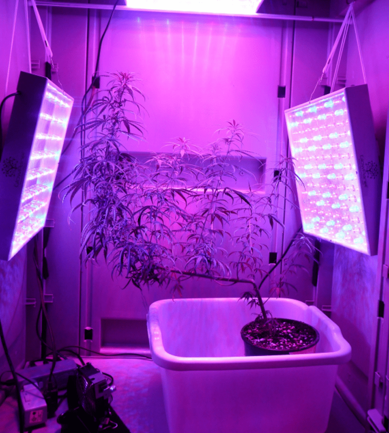 Led Grow Light Distance Chart