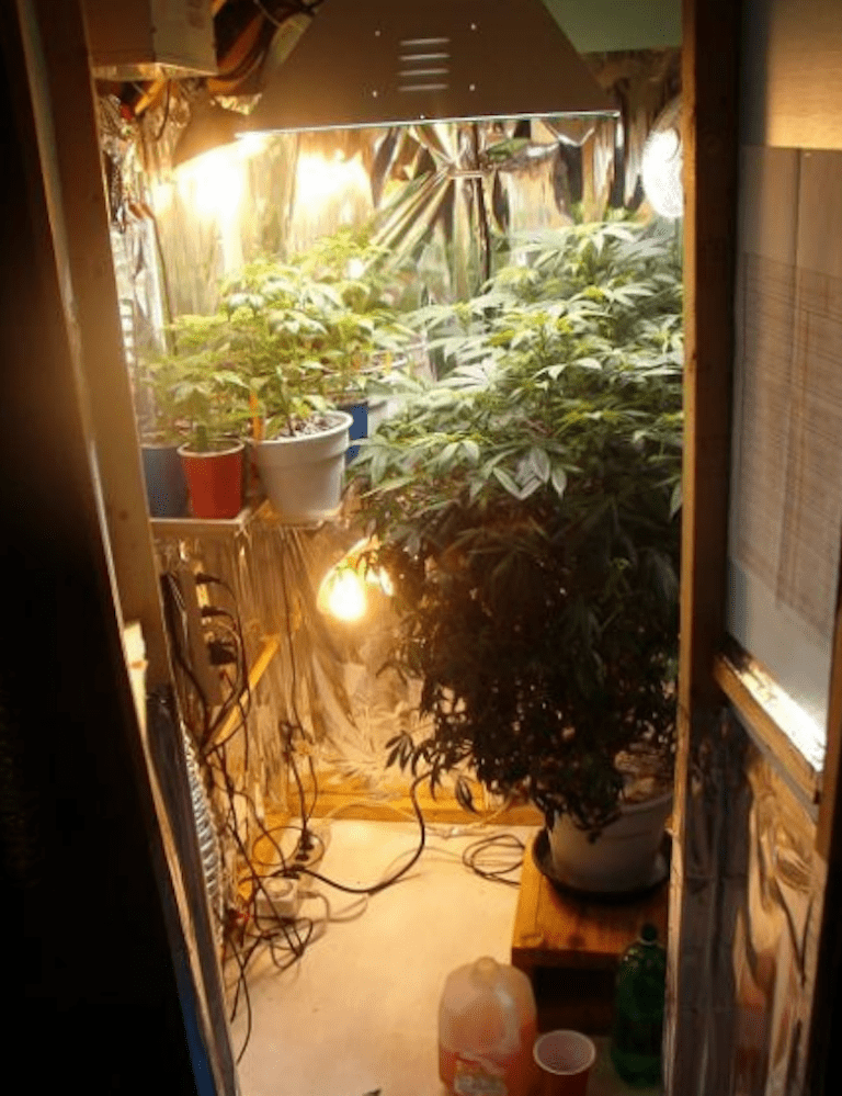 How To Set Up A Grow Room Part 8 Best Grow Room Setup