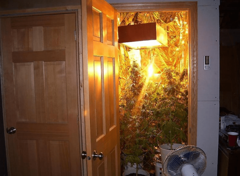 How To Set Up A Grow Room Part 8 Best Grow Room Setup