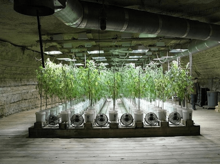 How To Set Up A Grow Room Part 8 Best Grow Room Setup