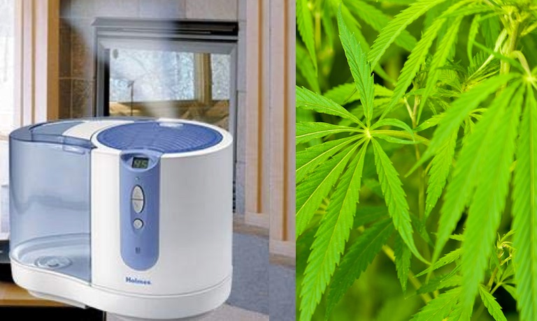 The 10 Best Humidifier For Grow Room Cheap Small Medium