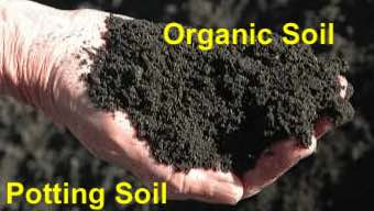 The 10 Best Soil for Cannabis Indoor - Potting Soil, Organic Soil, Mix ...