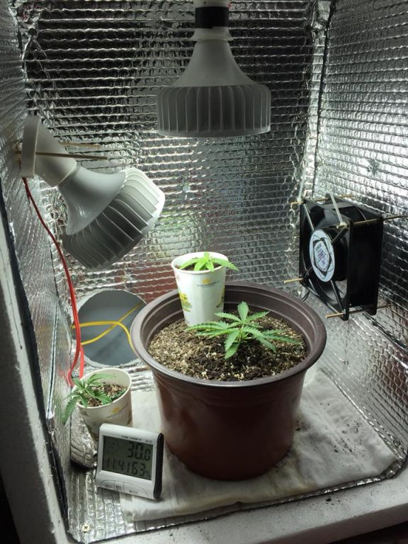 DIY Grow Tent - How to build your own Grow Box - 420 Big Bud