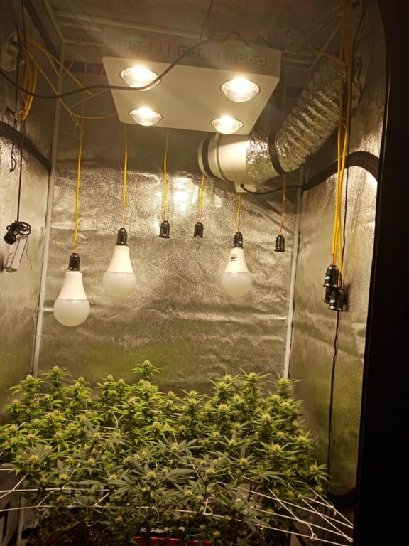 Grow Room Atmosphere Ventilation Hydrobuilder Com