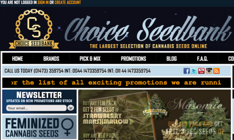 Choice Seed Bank Reviews 420 Big Bud
