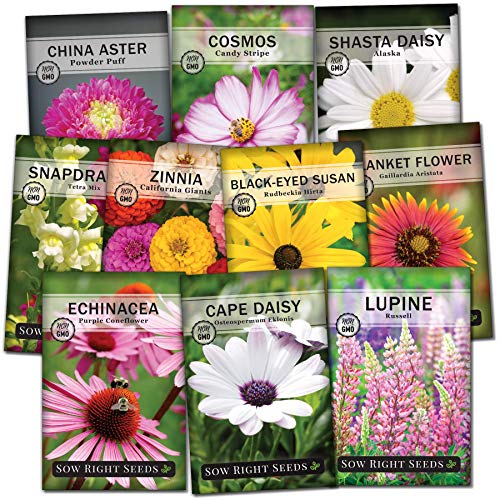 Flower Seeds Near Me - How to choose flower seeds for your garden - 420 ...