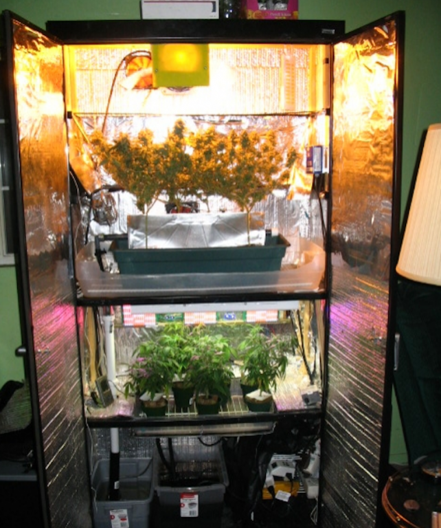 Setting Up a ScrOG Cabinet