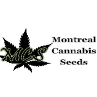 Montreal Cannabis Seed Bank