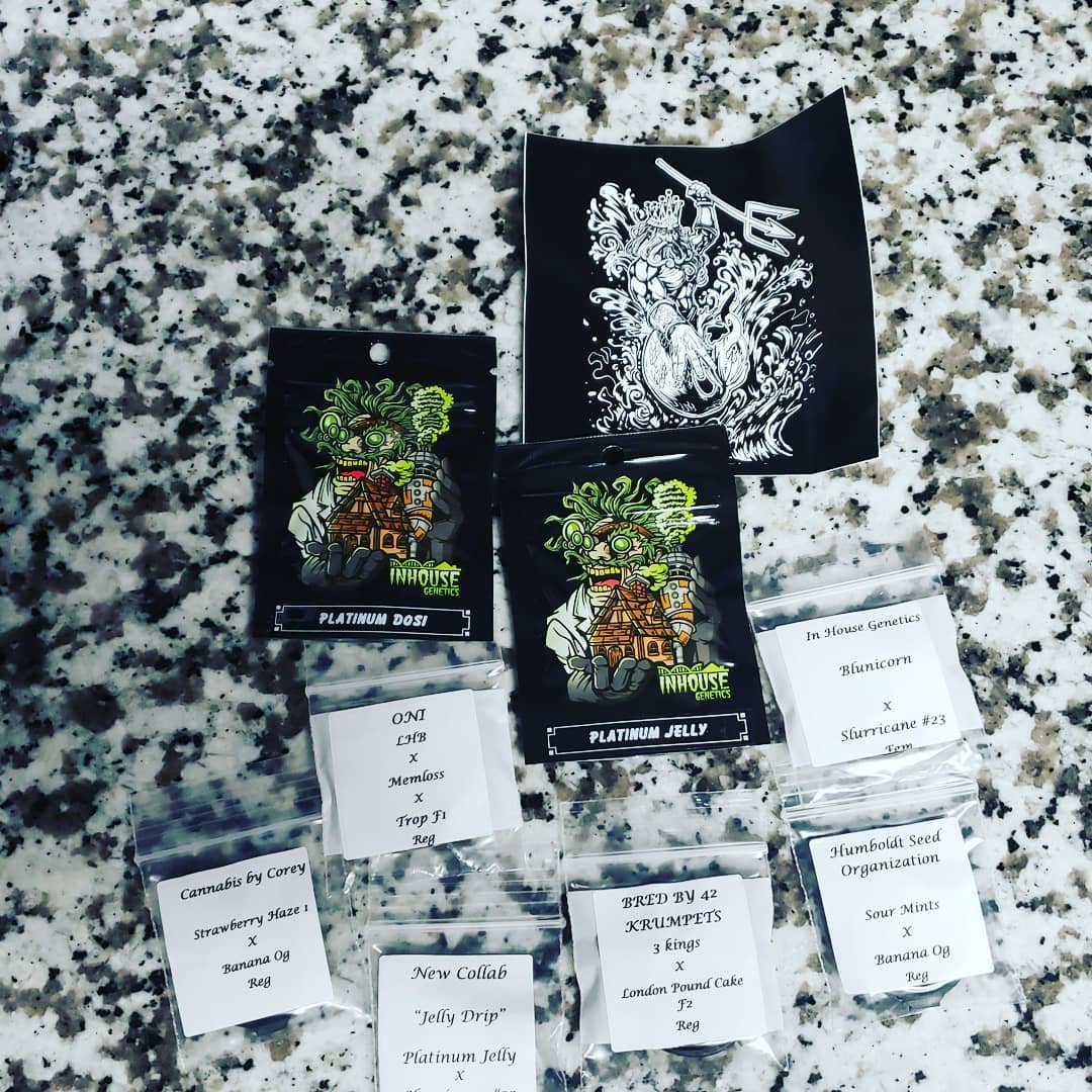 [Personal Experience] Neptune Seed Bank Review 2021 Top US Seed Bank