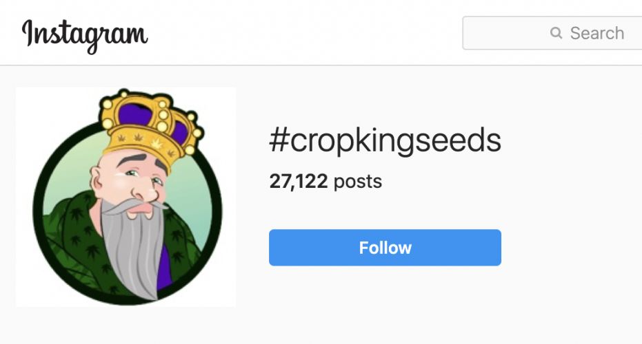 cropkingseeds