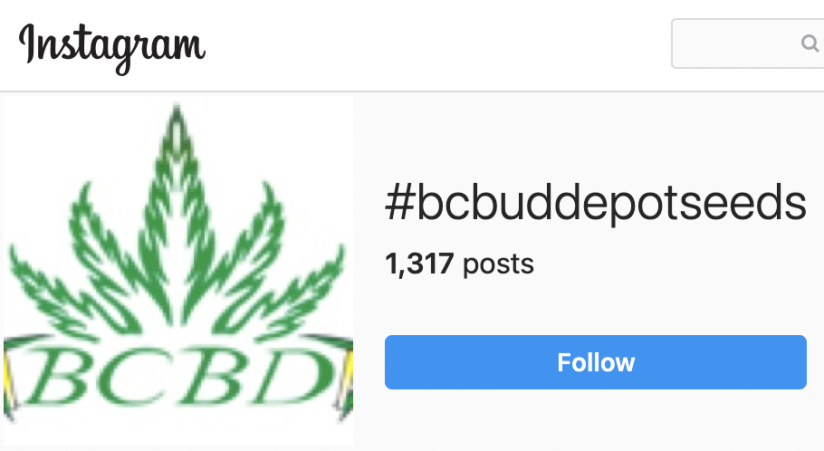 #bcbuddepot