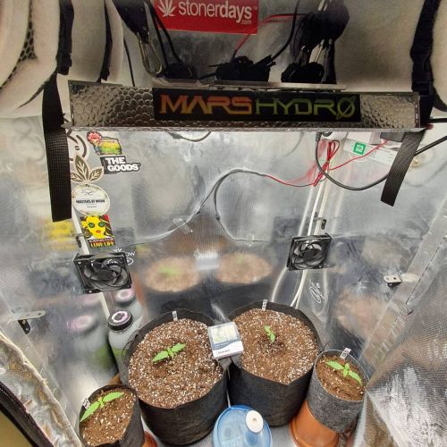 20 Stealth Grow Box Ideas Indoor And Outdoor Grow Ideas (Best Diy