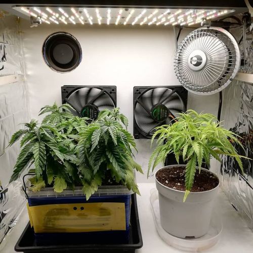 20 Stealth Grow Box Ideas: Indoor And Outdoor Grow Ideas (Best Diy ...