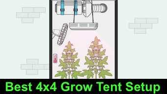 4x4 Grow Tent Setup