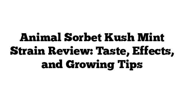 Animal Sorbet Kush Mint Strain Review: Taste, Effects, and Growing Tips