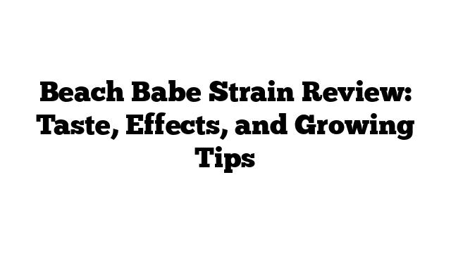 Beach Babe Strain Review: Taste, Effects, and Growing Tips