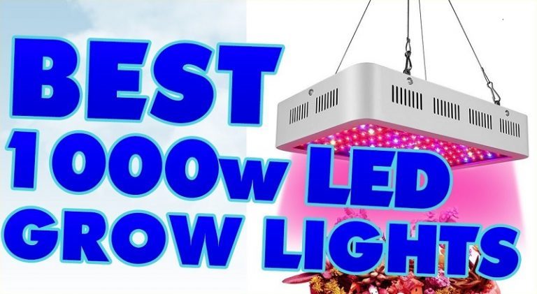 Best 1000W LED Grow Light