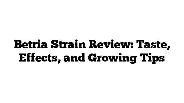 Betria Strain Review: Taste, Effects, and Growing Tips