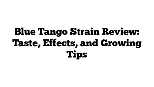 Blue Tango Strain Review: Taste, Effects, and Growing Tips – 420 Big Bud