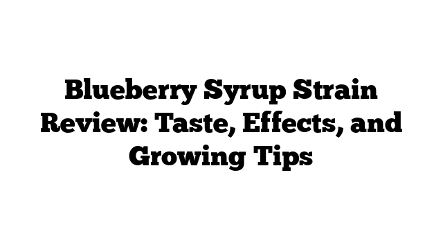 Blueberry Syrup Strain Review: Taste, Effects, and Growing Tips