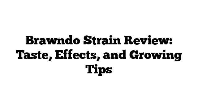 Brawndo Strain Review: Taste, Effects, and Growing Tips