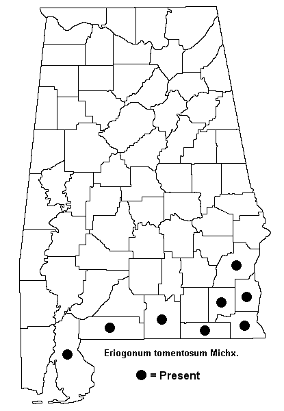 Eriogonum tomentosum map