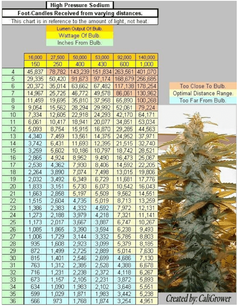 How to Grow Weed Basics Tutorial. Part 3. Lighting 420 Big Bud