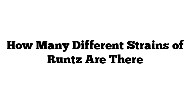 How Many Different Strains of Runtz Are There? – 420BB: Premium Pipes - How Many Types Of Runtz Strains Are There