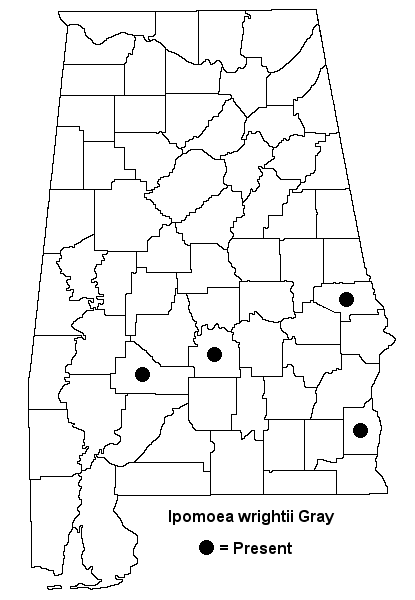 Ipomoea wrightii map