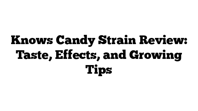 Knows Candy Strain Review: Taste, Effects, and Growing Tips