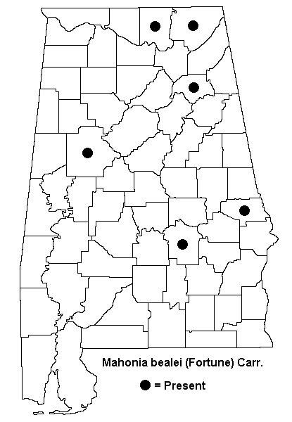 Mahonia bealei map