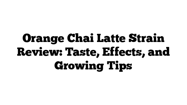 Orange Chai Latte Strain Review: Taste, Effects, and Growing Tips
