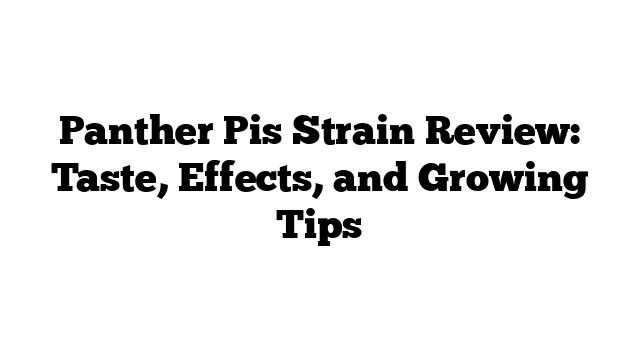 Panther Pis Strain Review: Taste, Effects, and Growing Tips