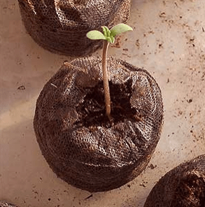 Peat Briquette Method 