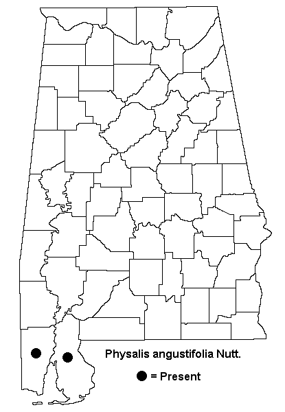 Physalis angustifolia map