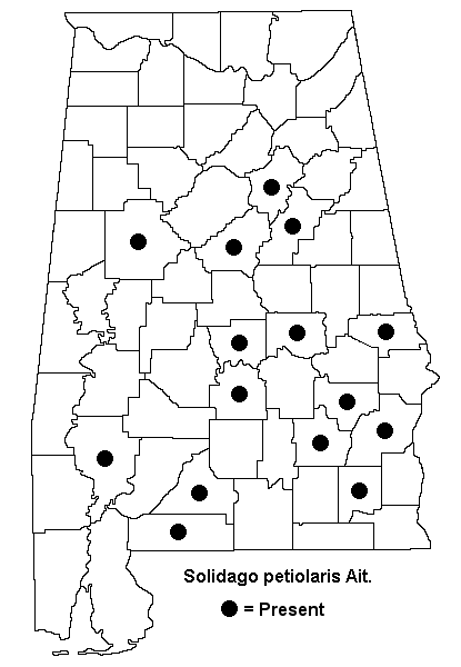 Solidago petiolaris map