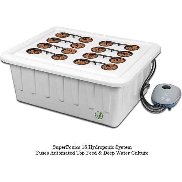 Best DWC System (Deep Water Culture) Reviews (2023 Update) 420 Big Bud