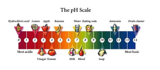 The pH Scale