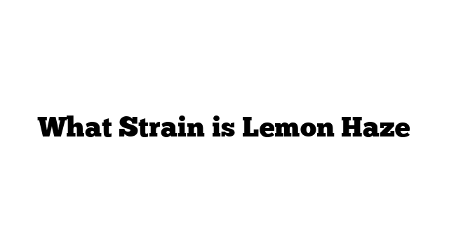 What Strain is Lemon Haze