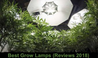 Best Grow Lamps Reviews