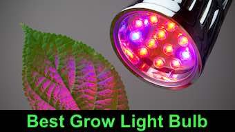 Best Grow Light Bulb (2022 )