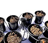 Best Hydroponic Weed Kits 2023: Hydro kits for Marijuana Growing