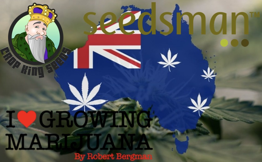 Top 10+ Best Seed Banks in Australia 2023 Aussie Seed Bank Review (Cannabis Seed Banks That