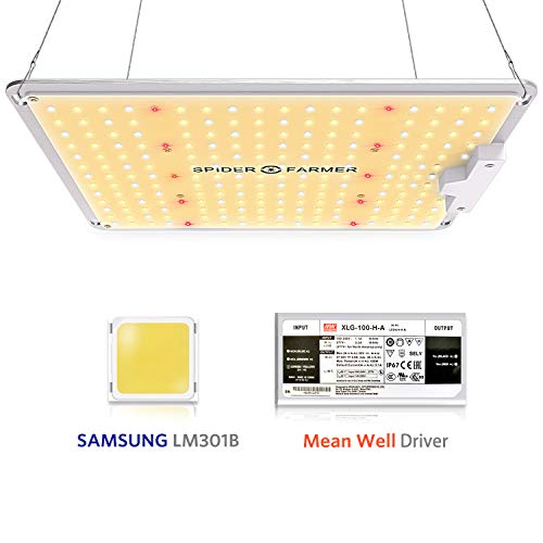 Top 5 Best White LED Grow Lights 2023 : Are White LED Good for Growing?