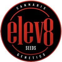 Elev8 Seed Bank