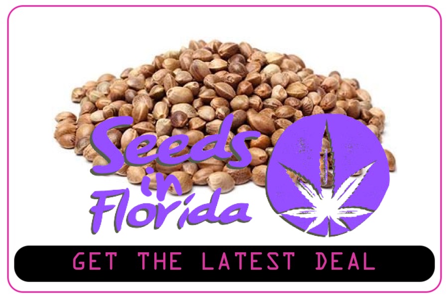 Florida Cannabis Seeds