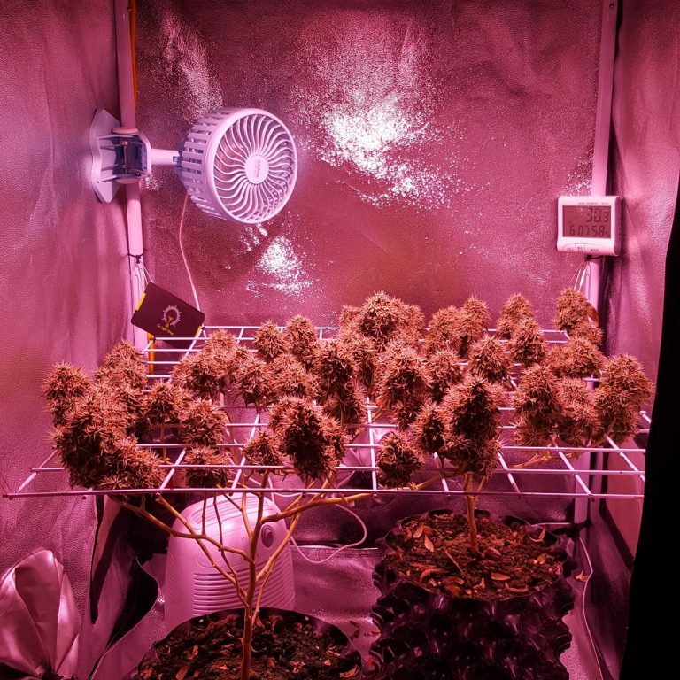 Homemade grow box ideas 3